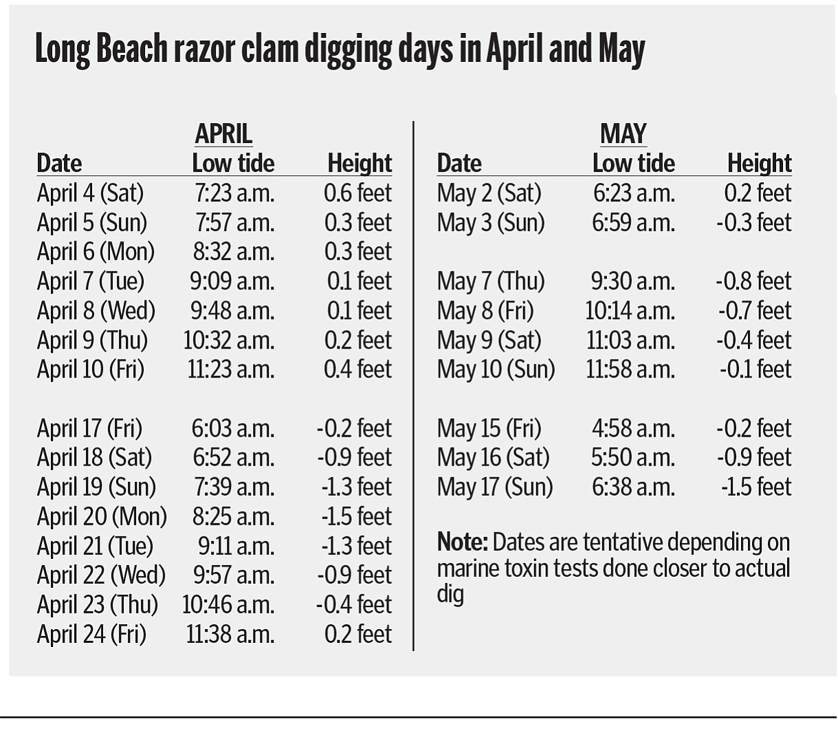 Razor clam diggers to get 24 days in April, May The Columbian