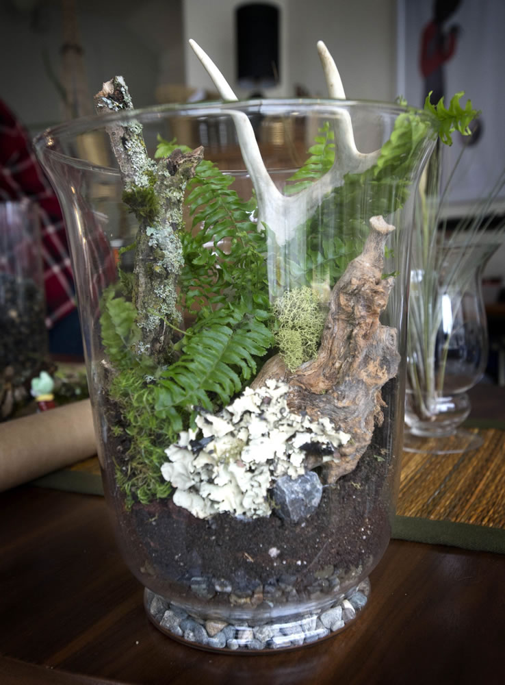 Designers take new approach to the terrarium The Columbian