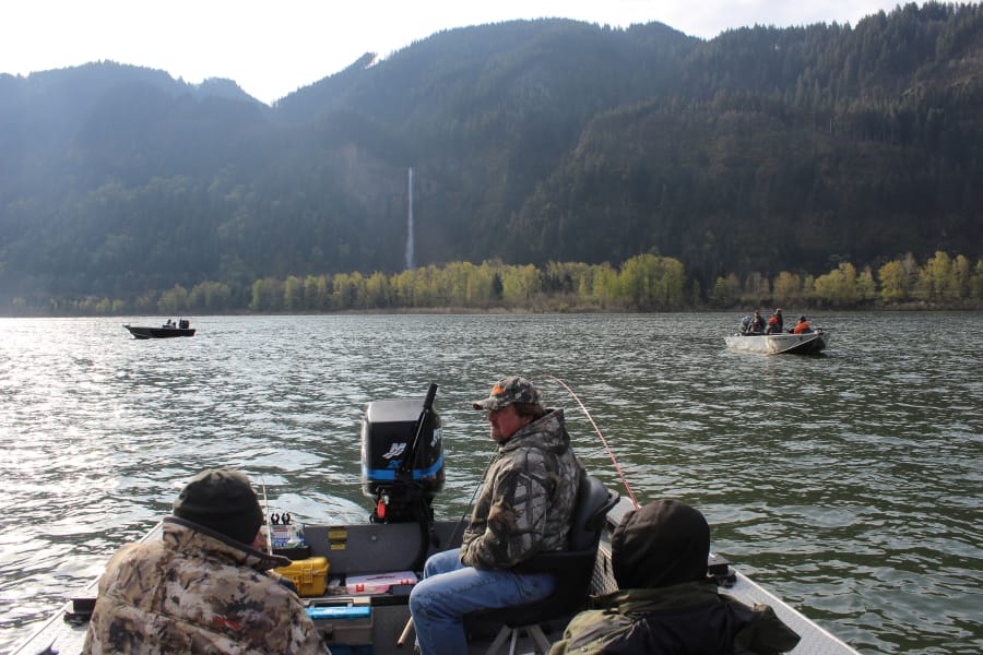 Columbia River Spring Chinook 2023 Season