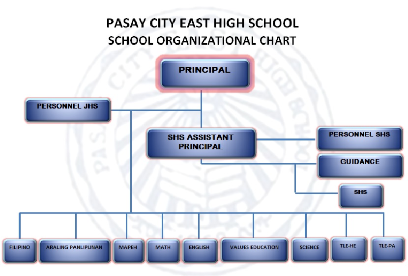 School Organization Chart
