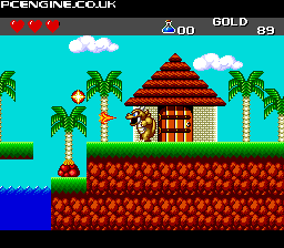 Adventure Island - The PC Engine Software Bible