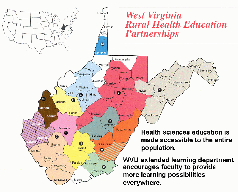 Health Sciences E Education Teaching Virtual Anatomy Labs
