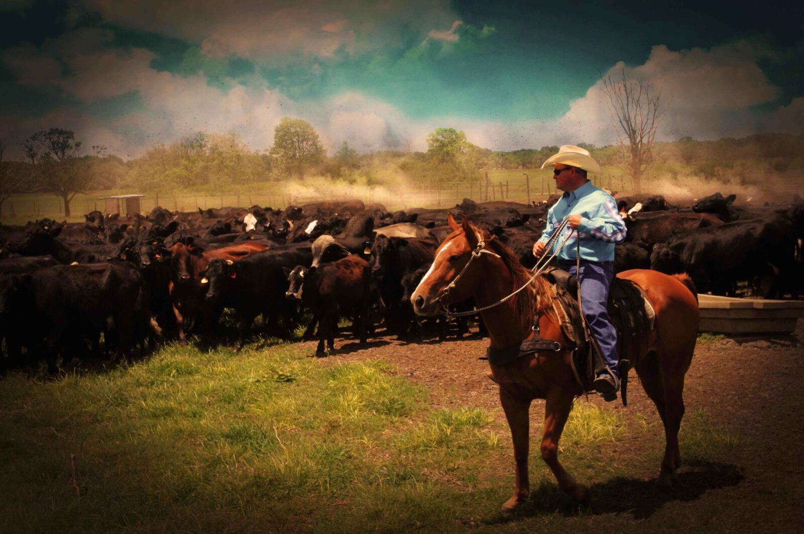 Polk County Farm Bureau The official website of the Polk County Farm