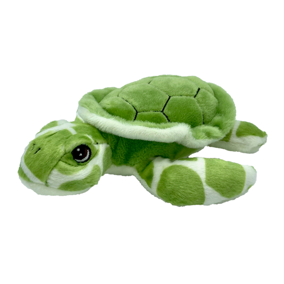 Turtle (Eco) Perth Children's Hospital Foundation