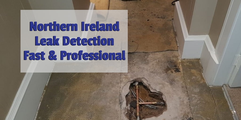 Leak Detection and Repair Northern Ireland PCLA