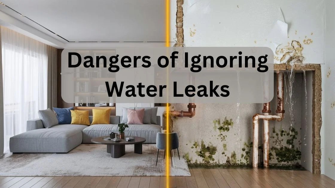 The Risks of Ignoring a Water Leak Take Action Now PCLA(03)