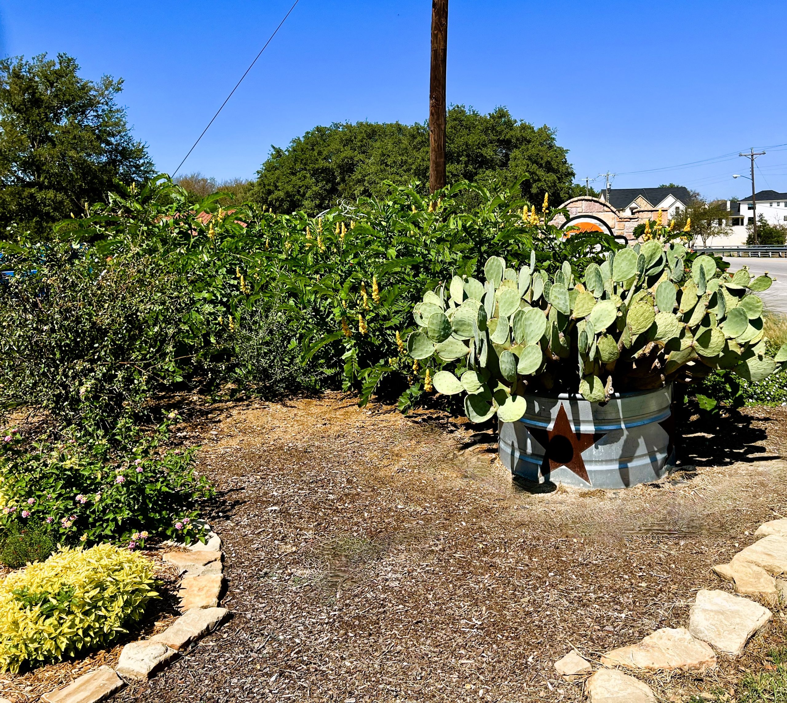 Aledo Community Center Project Parker County Master Gardener Association