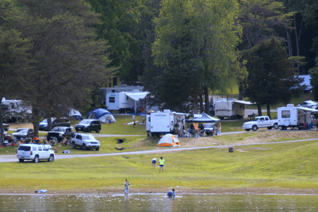 Home Pulaski County Park