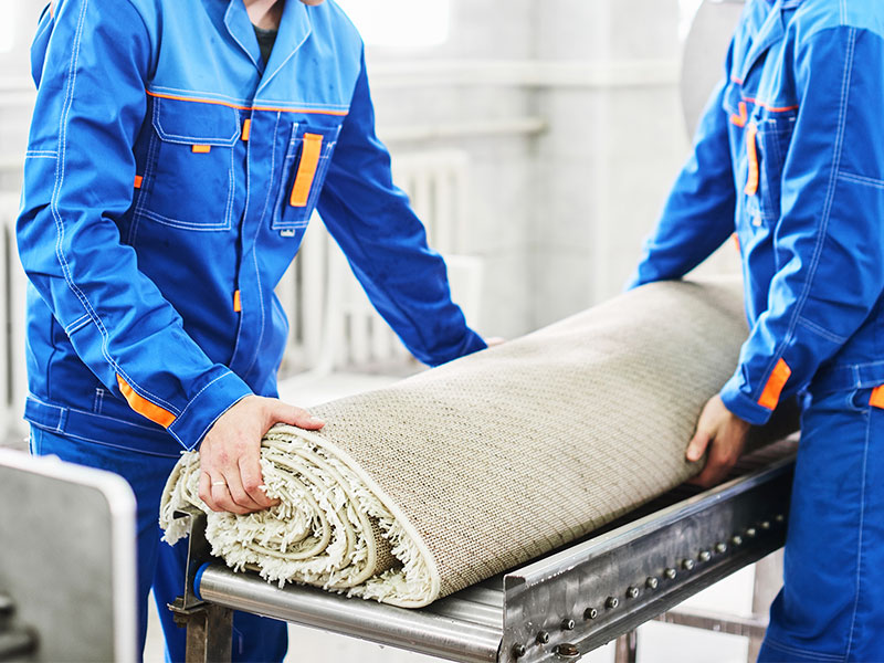 About Us separator_saCarpet Cleaning Service in Pflugerville, Texas.