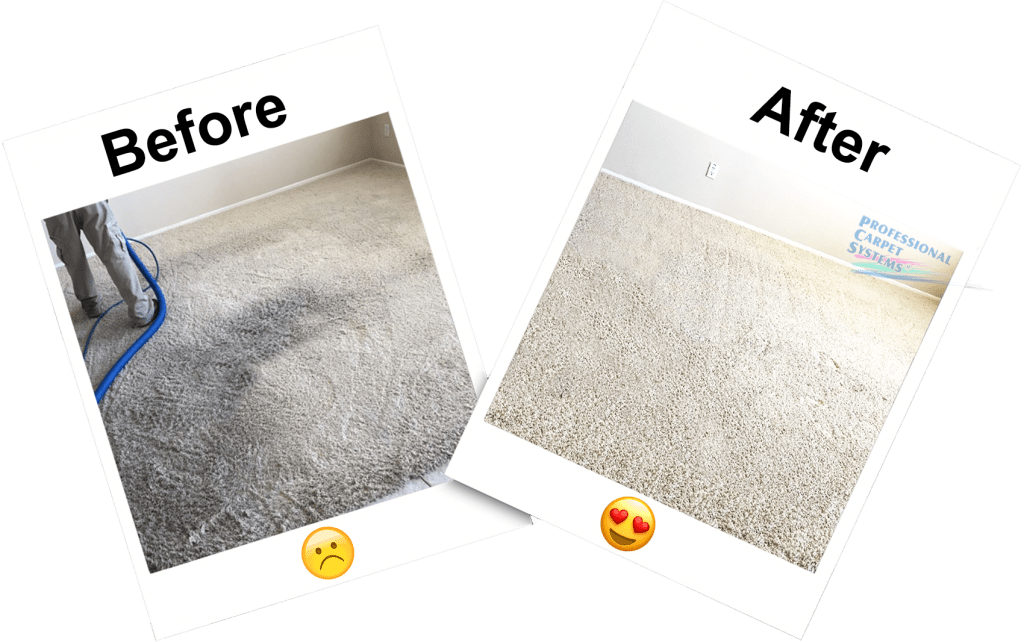 CARPET CLEANING Professional Carpet Systems