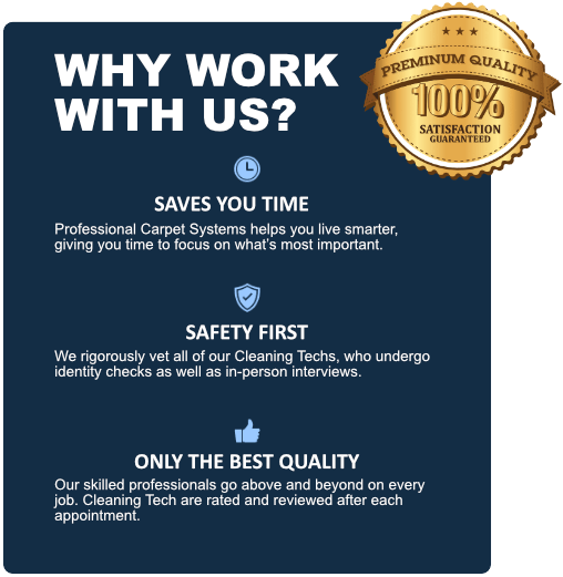 Professional Carpet Systems