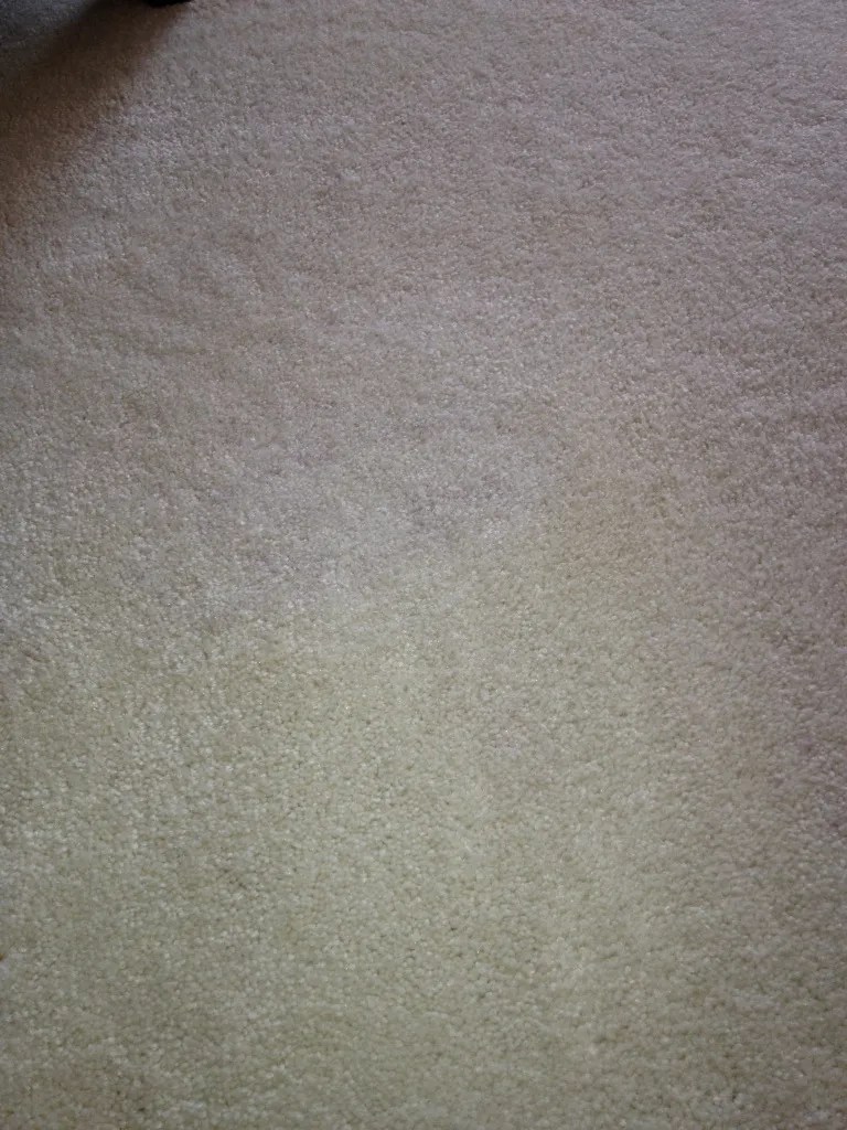 Rental Carpet Machines St. Catharines& Niagara Falls