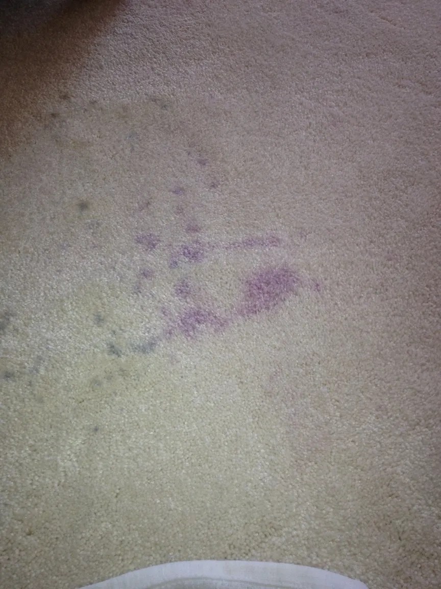 Rental Carpet Machines St. Catharines& Niagara Falls