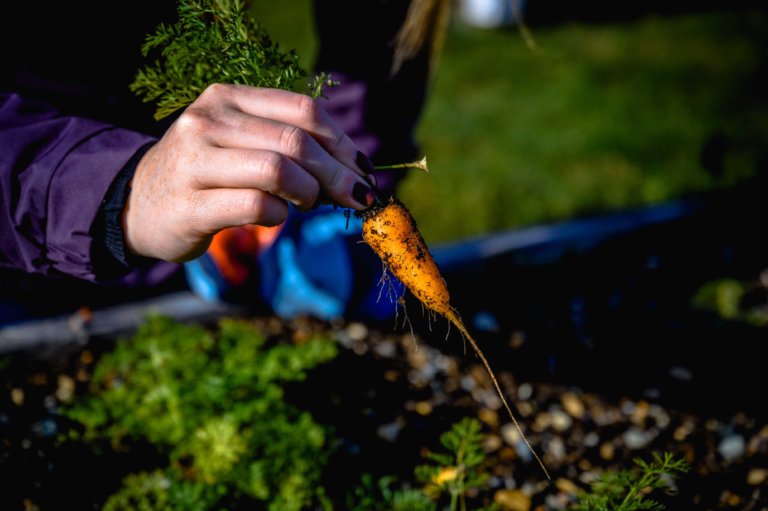 Recreation Centre Town of Portugal Cove St. Philips