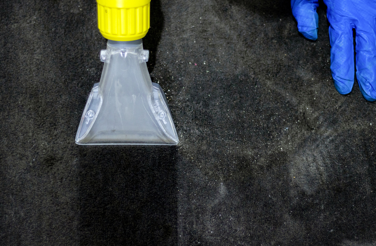 Deep Cleaning Your Carpets Everything You Need to Know Professional