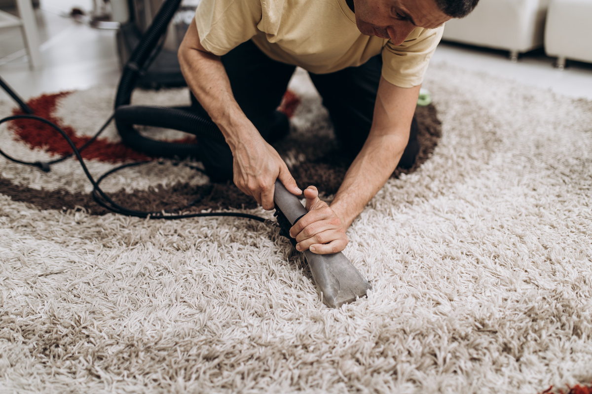 Deep Cleaning Your Carpets Everything You Need to Know Professional