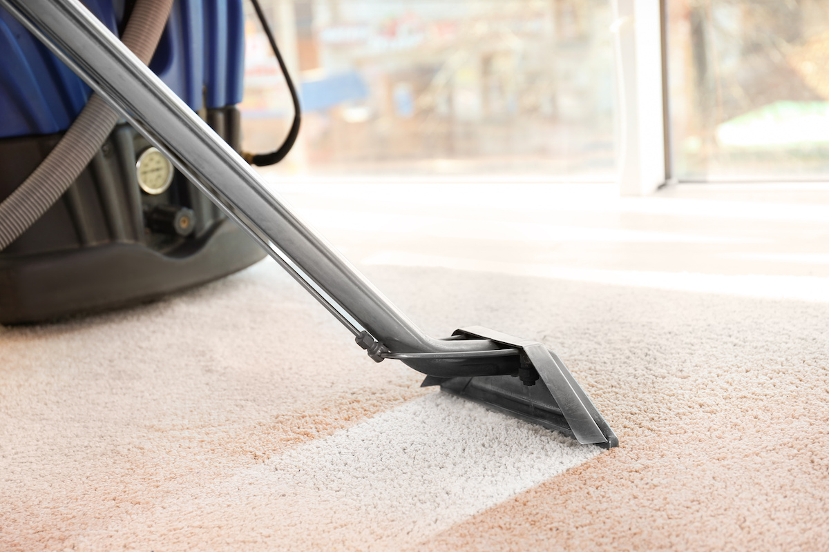 Carpet Shampooing or Steam Cleaning Which is Better? Professional