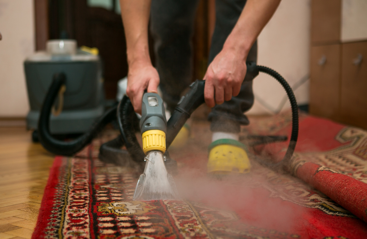 Carpet Shampooing or Steam Cleaning Which is Better? Professional