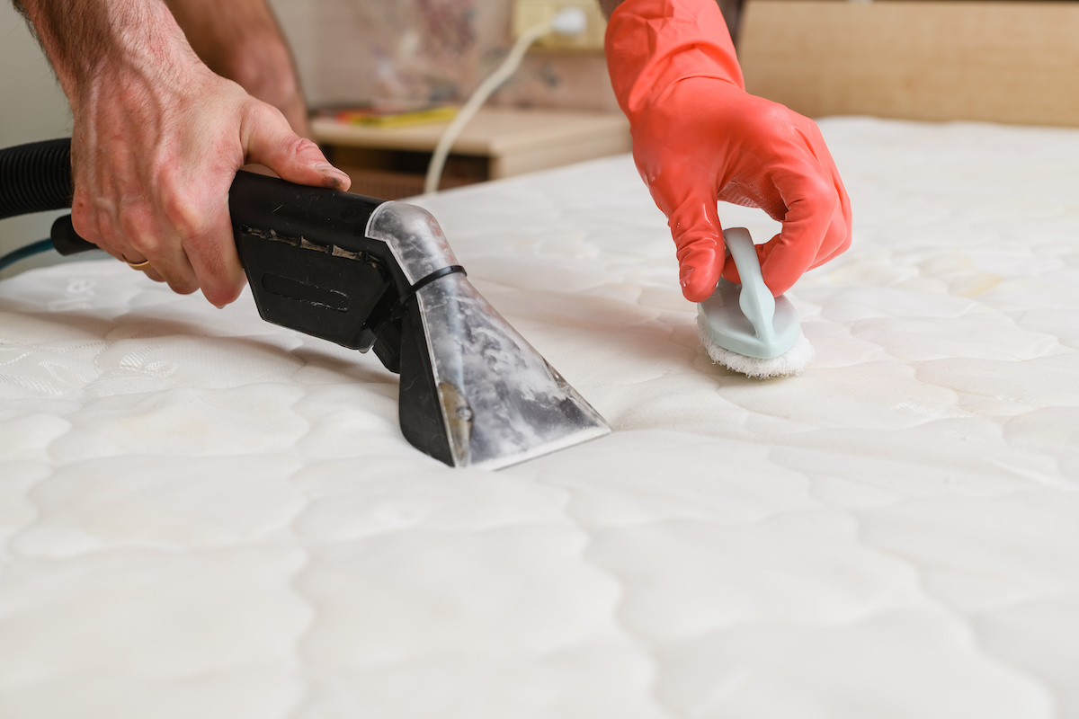 Everything You Need to Know About Mattress Cleaning Professional