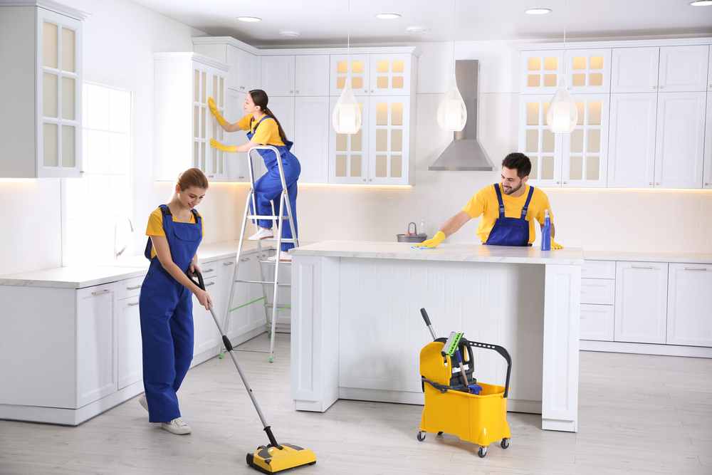 A Guide On How To Professionally Clean A House House Cleaning Near Me
