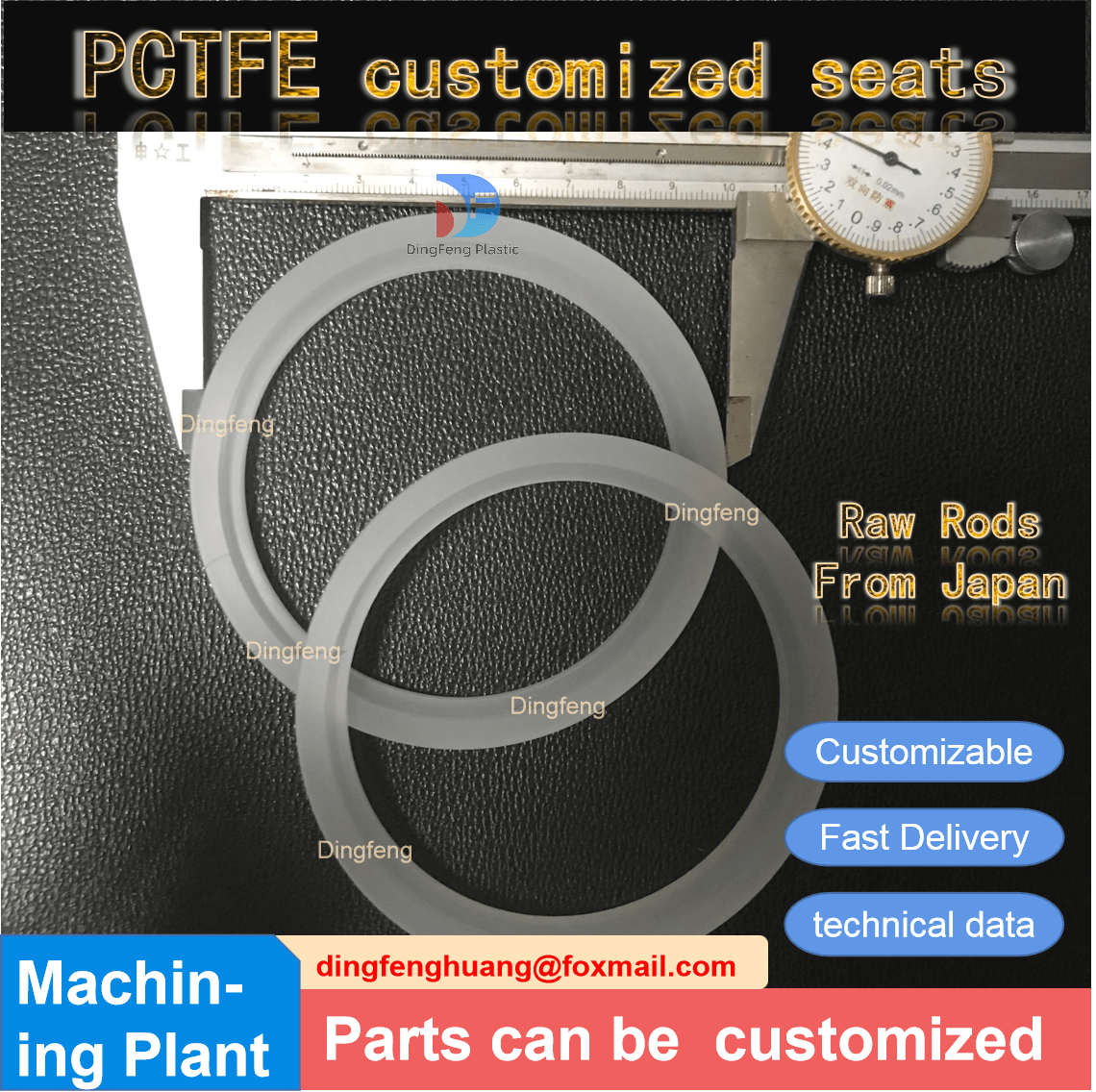 PCTFE valve seat_dingfeng palstic co,ltd