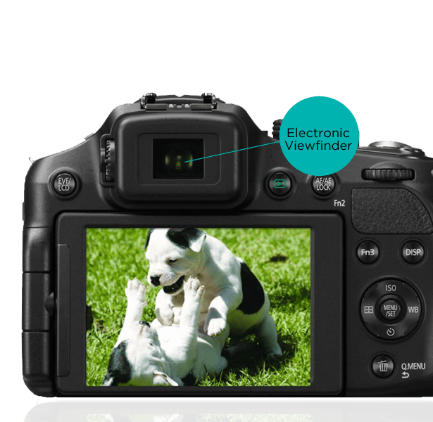 Digital Bridge Camera Guide PC World