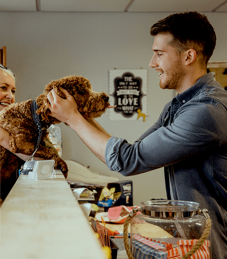 Headerlife Paul & Dixon Insurance