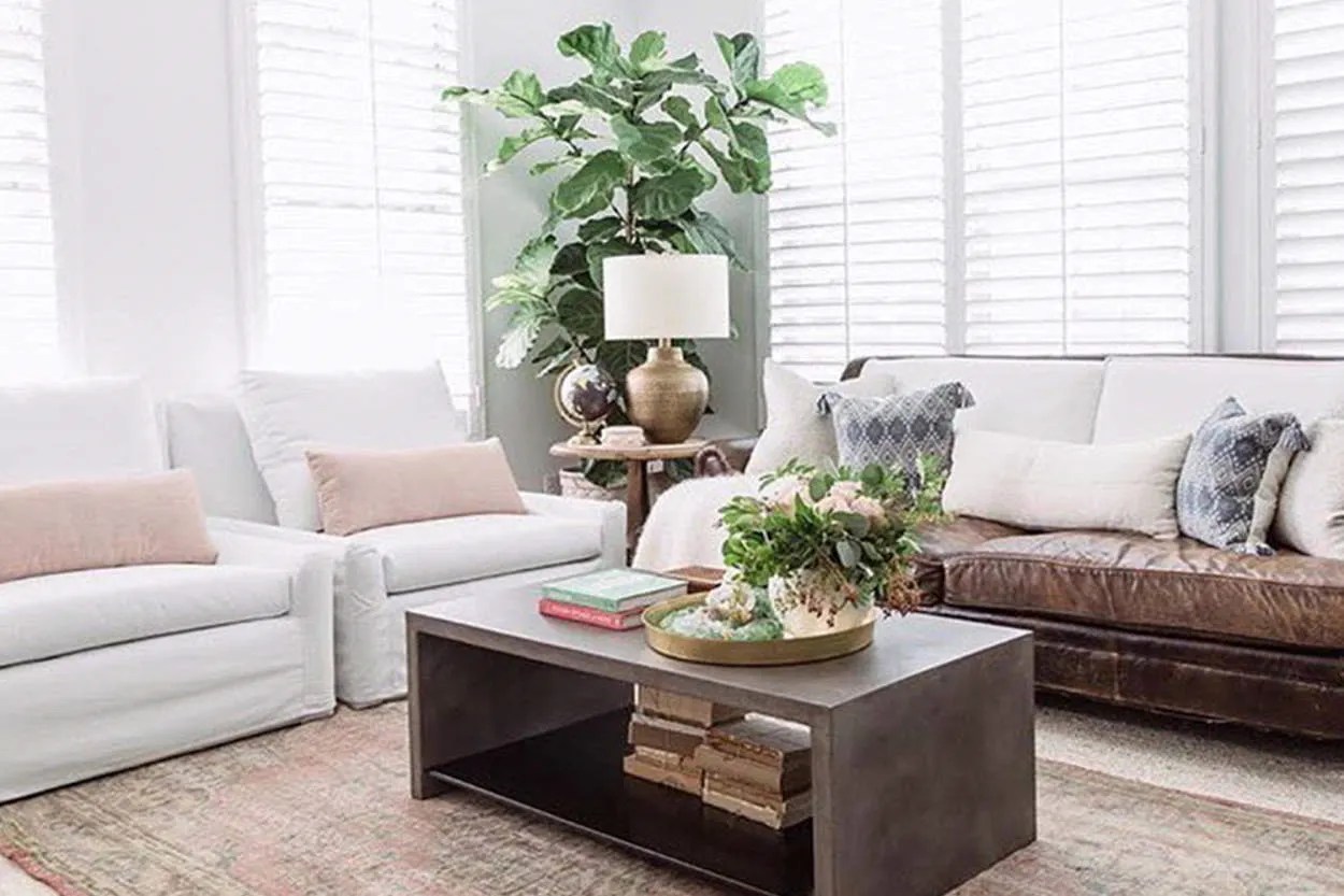 Harmonious Living Rooms Feng Shui Design Principles