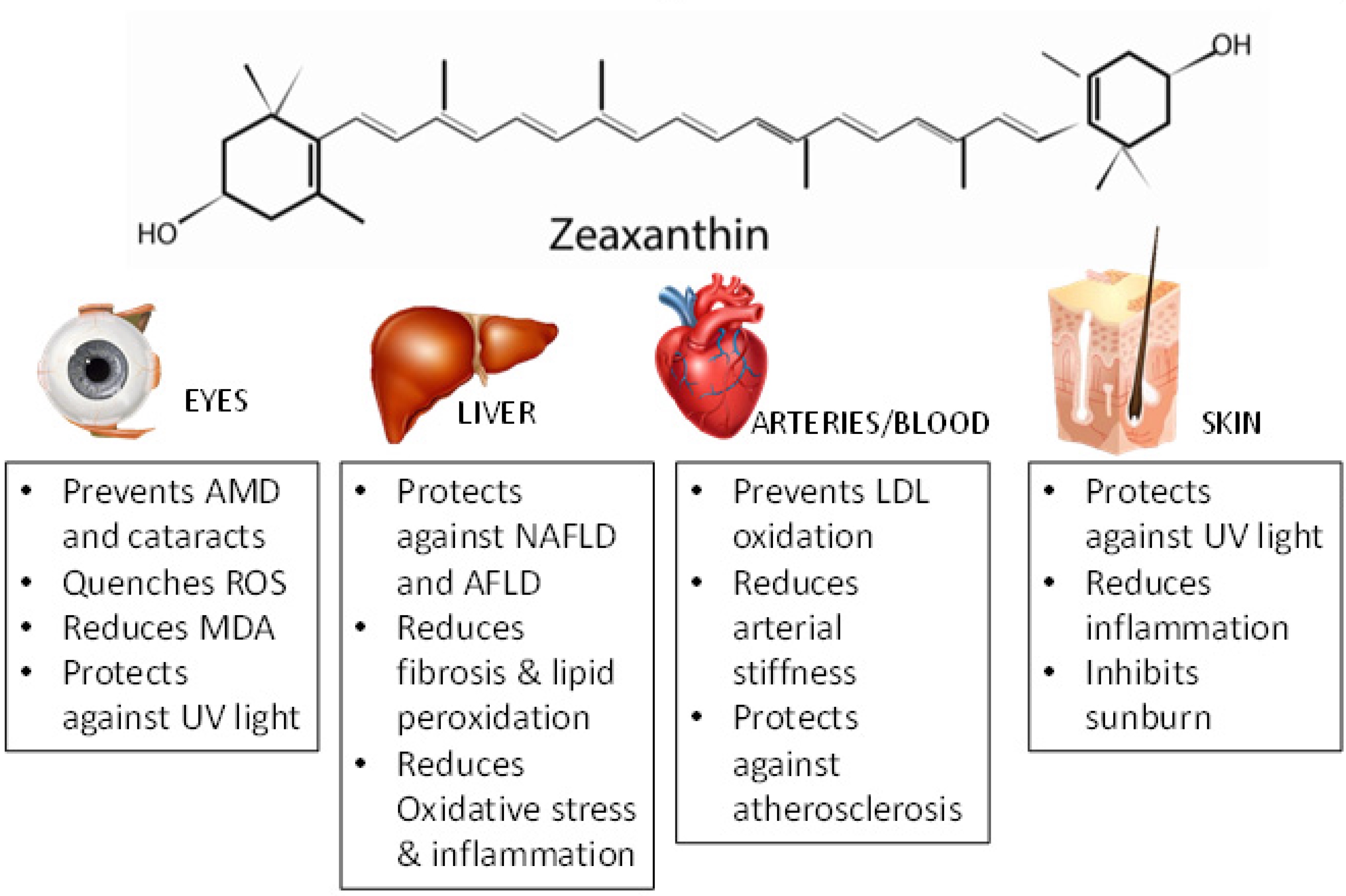 Zeaxanthin production by Sphingobacterium multivorum Food