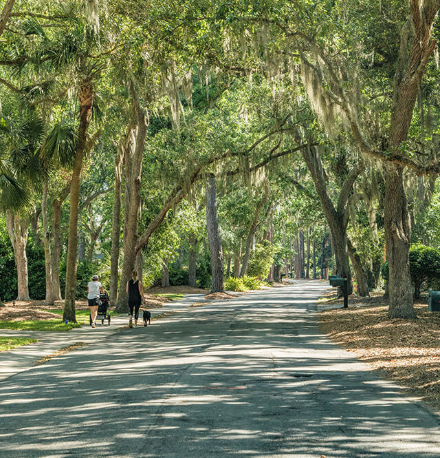 Community Palmetto Dunes Property Owners Association