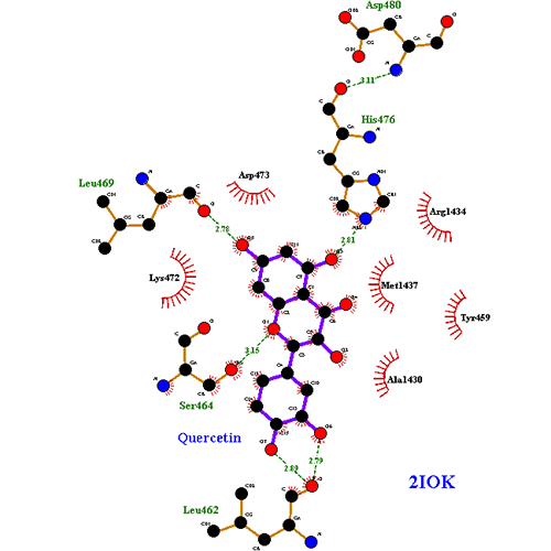 Docking of Human Estrogen Receptor Alpha and Quercetin from docking
