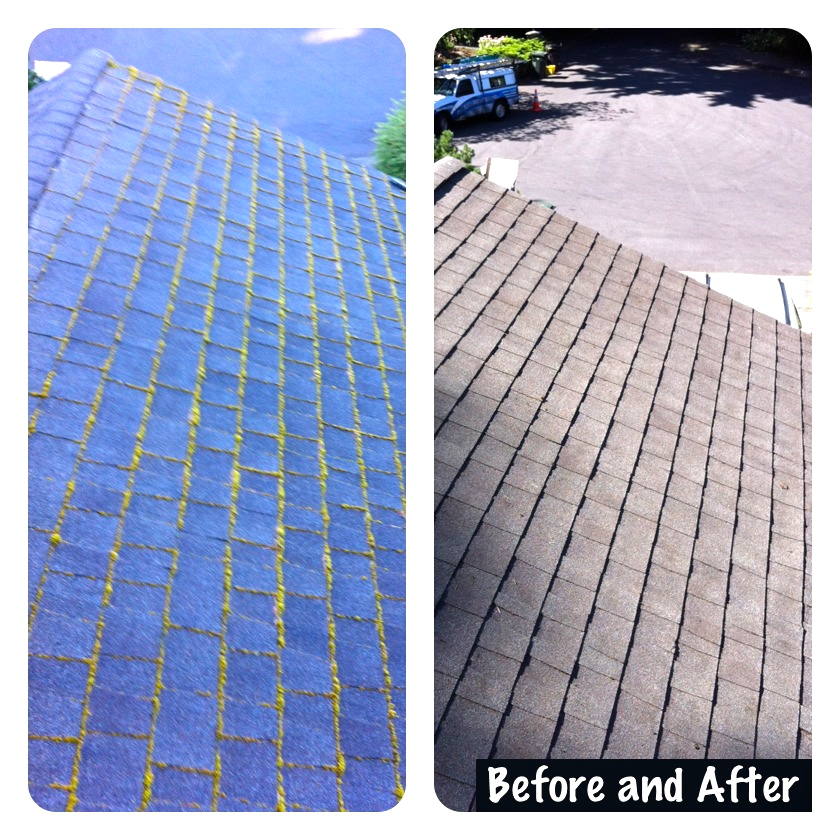 Portland Moss Removal and Roof Cleaning Services (503) 4737936