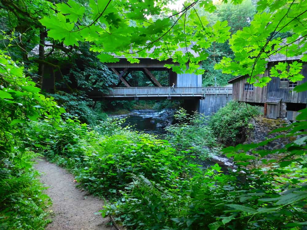 What's Living in Cedar Mill, OR Like? [2024] 🏆 ULTIMATE Moving to