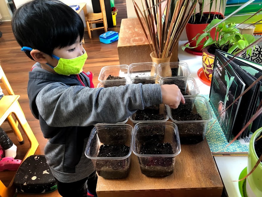 Franciscan Montessori Earth School PDX Parent Directory