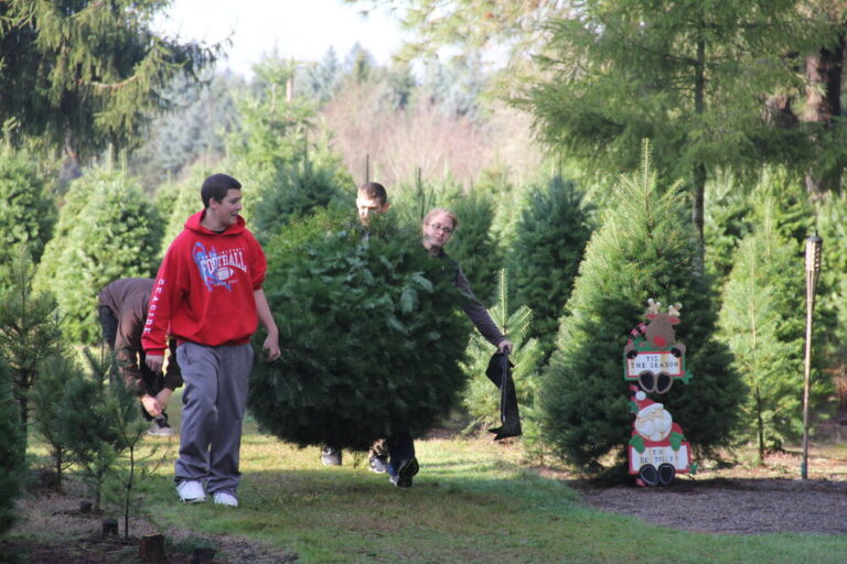 UCut Holiday Tree Farms