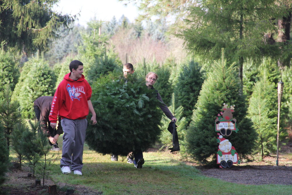 UCut Holiday Tree Farms