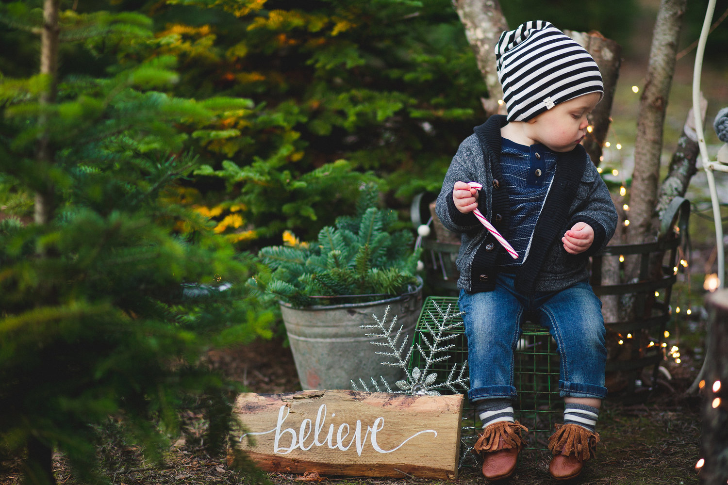 UCut Holiday Tree Farms