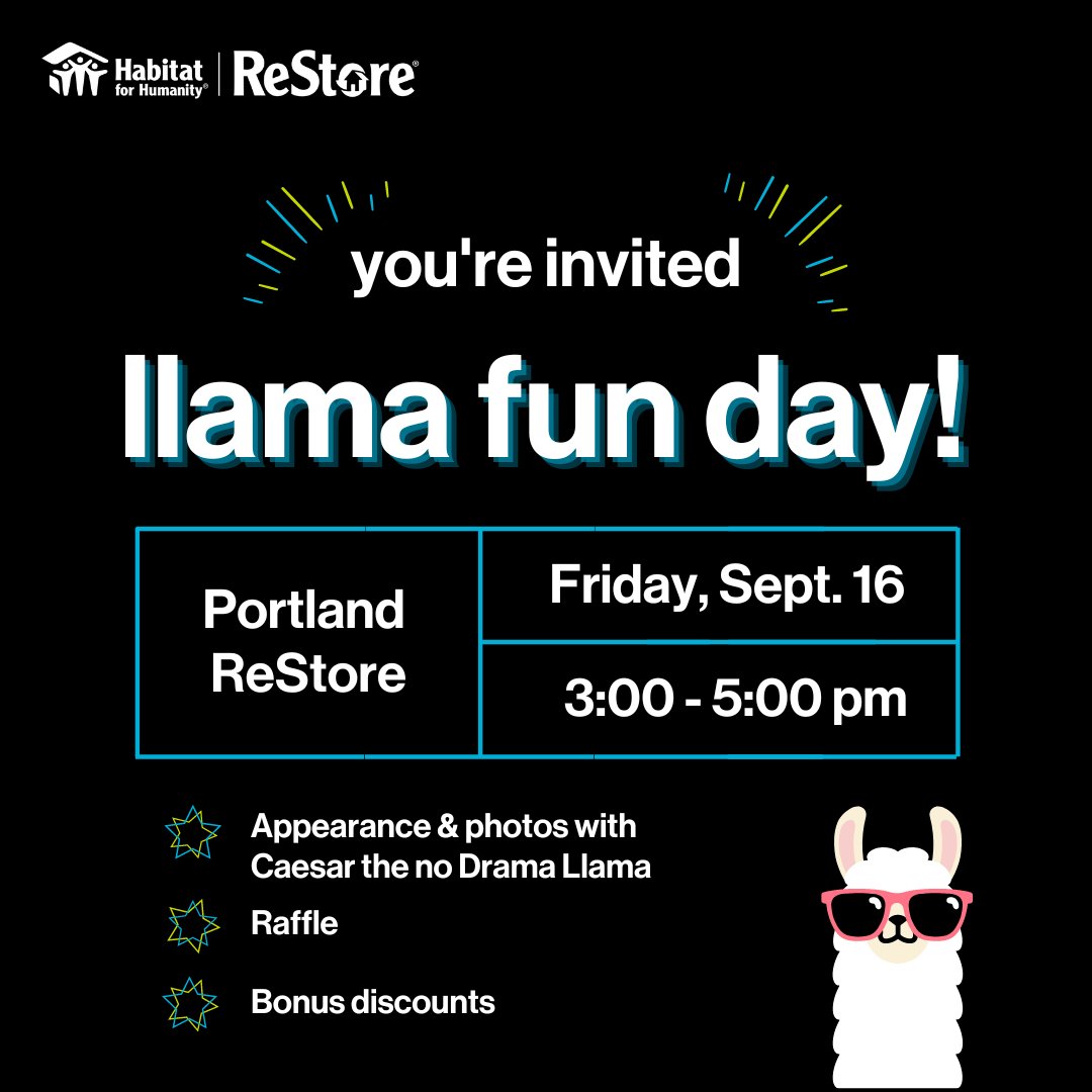 Llama Fun Day at the Portland ReStore Portland Region ReStores