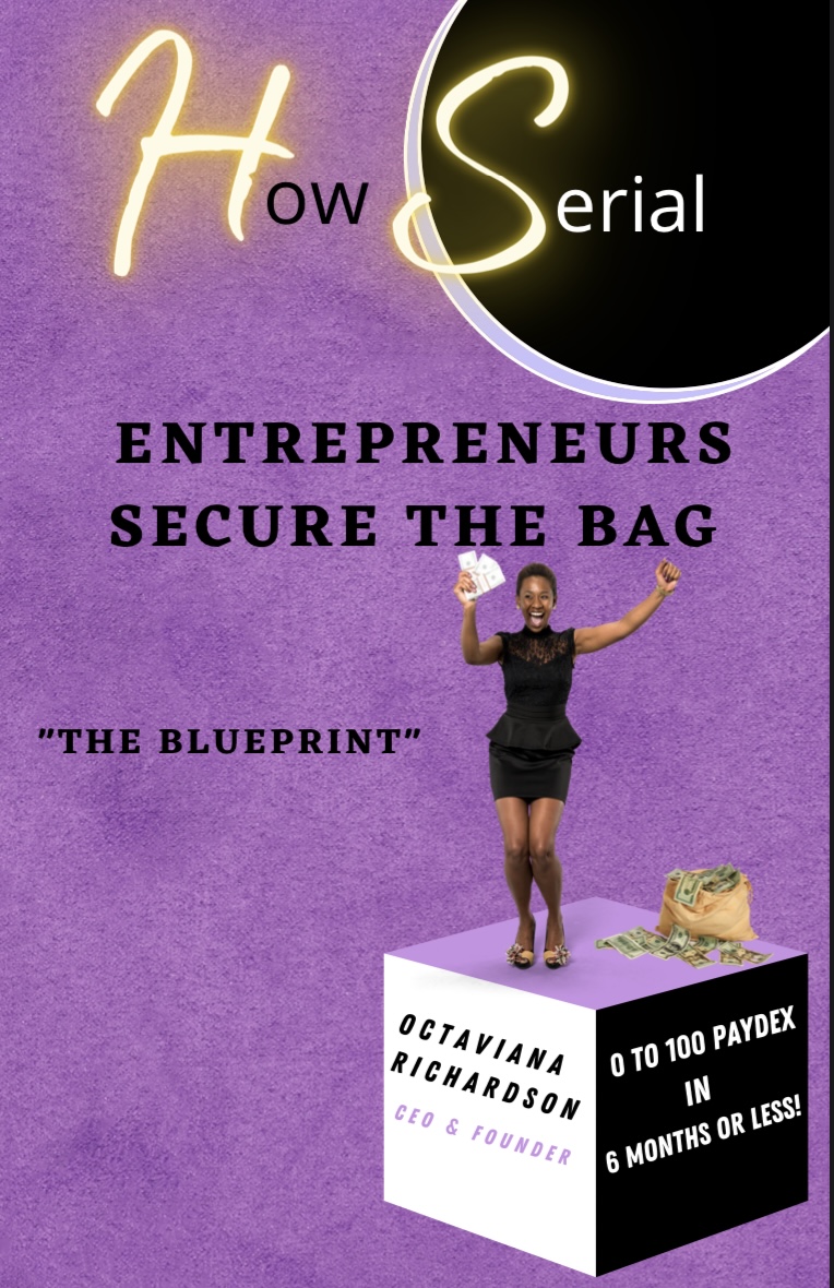 How serial entrepreneurs secure the bag Payhip