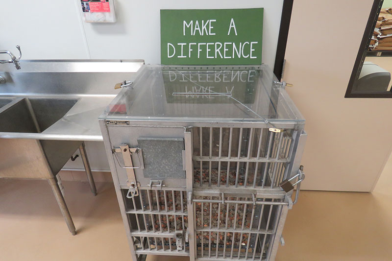 Photo Gallery Peaceable Primate Sanctuary