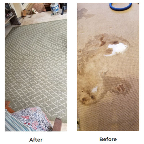 Peace Frog, Carpet Cleaning Near Me Austin Round Rock