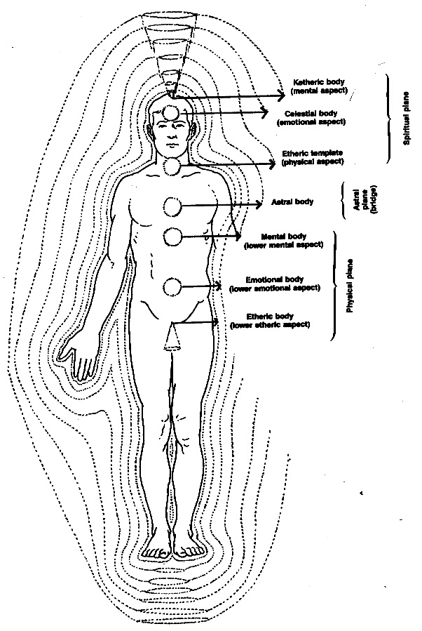 Chi, Prana, the Human Energy Field, and the Universal Energy Field