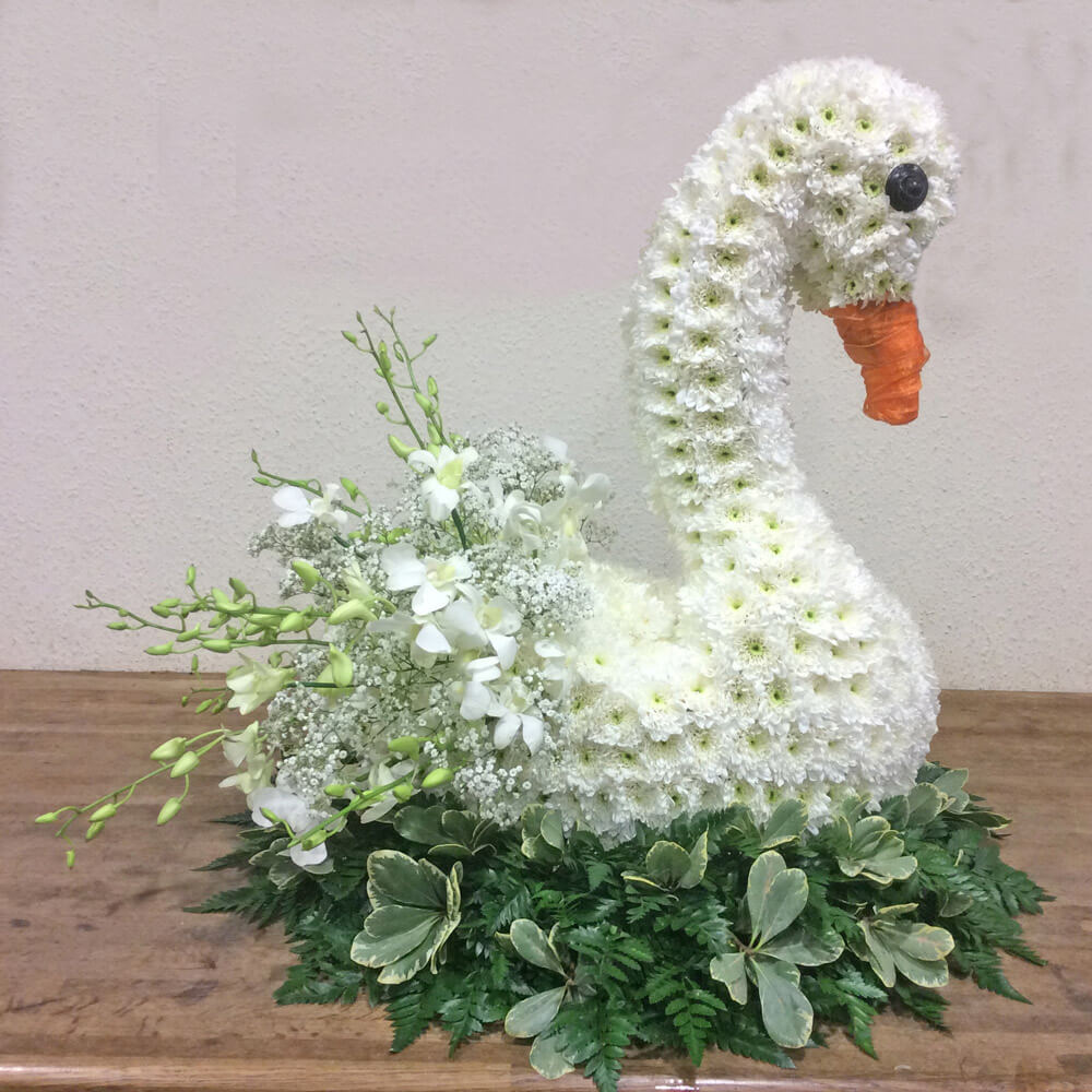 Designer Tributes Peace Lily Flowers Romsey