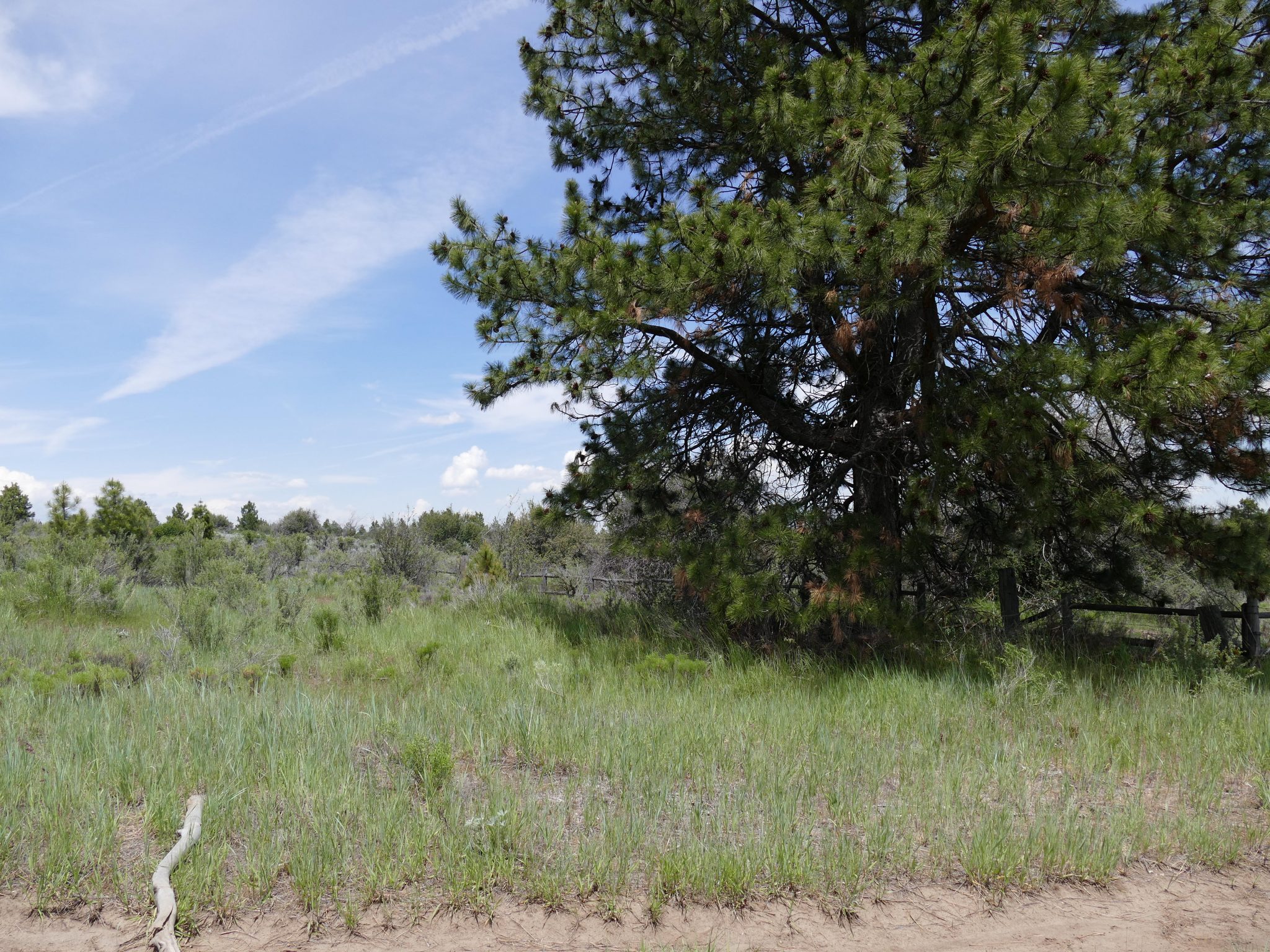 .88 Acres near Agency Lake, OR Peaces of Land