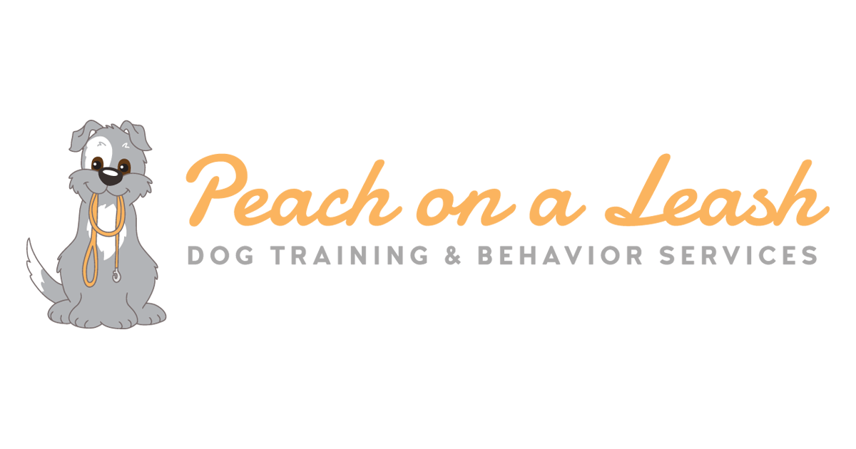 What Causes Leash Reactivity In Dogs