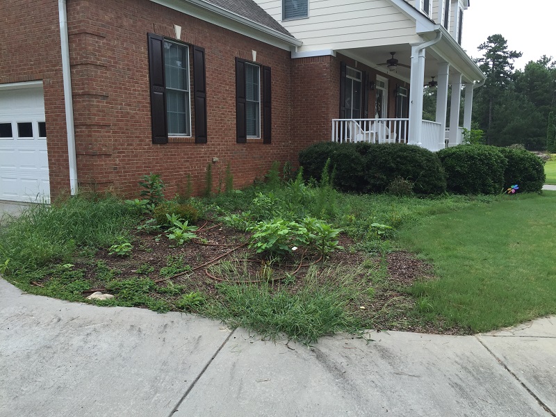 Captive Landscapes Peachtree City Landscapers Landscaping in