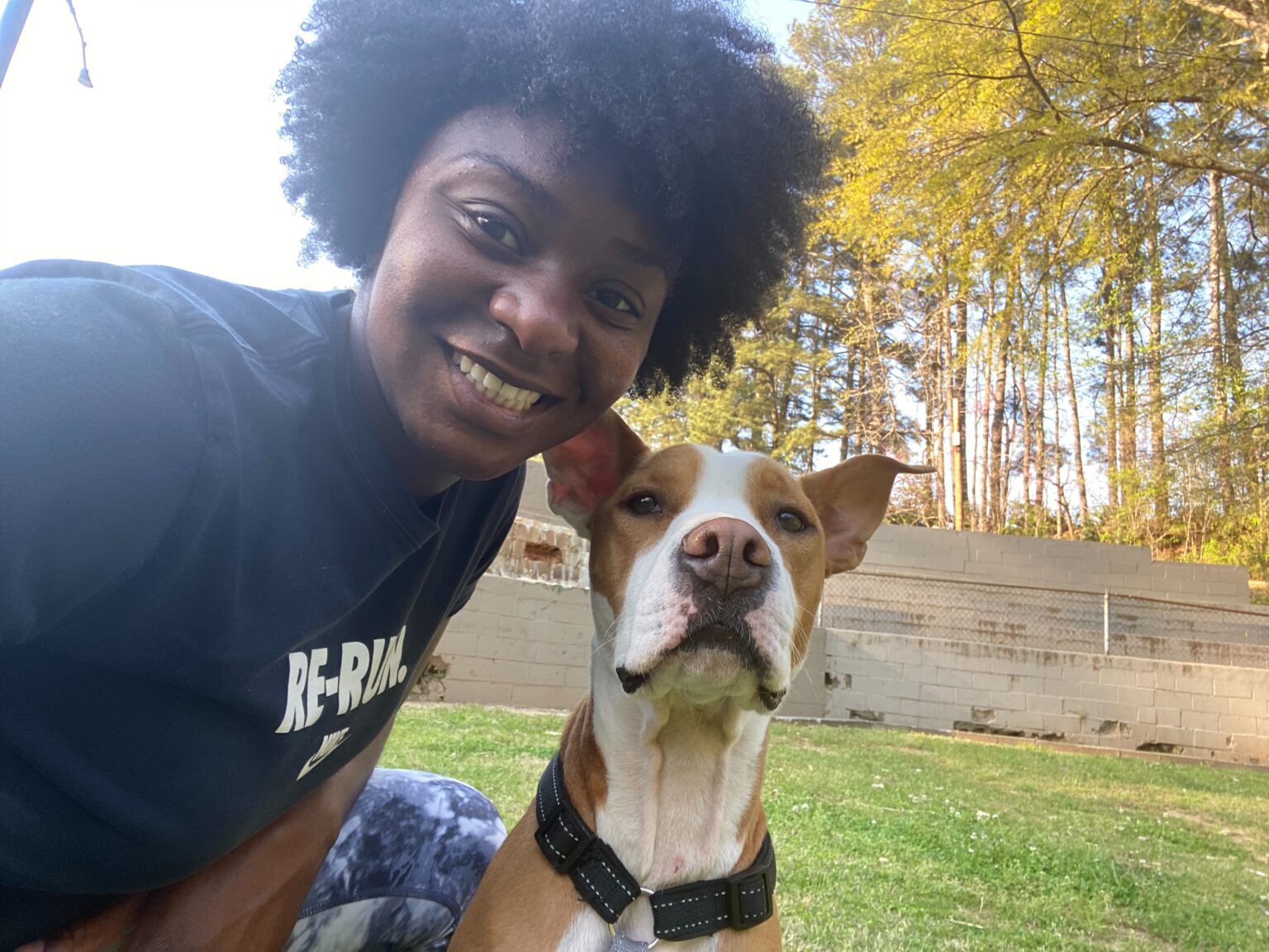 About Us Trainer Atlanta Dog Trainer Peachtree Dog Training GA