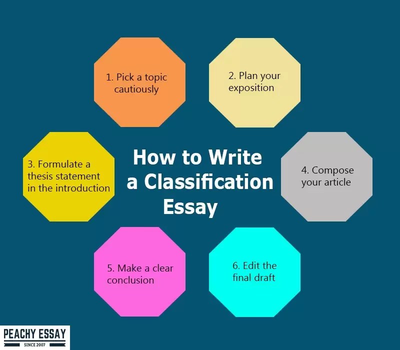 How to Write a Division Classification Essay Useful Guide