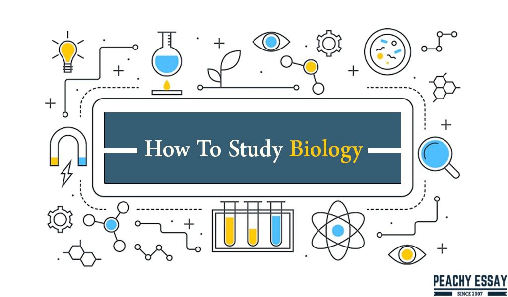 Study Strategies Learn How To Study Biology