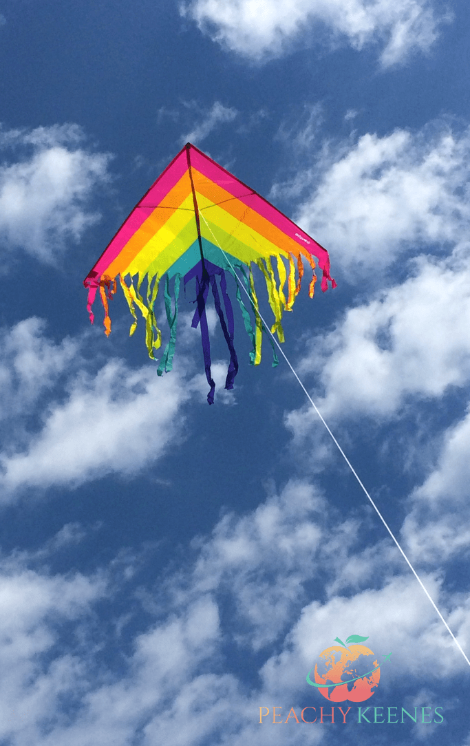 Hilton Head Island Things To Do With Kids Peachy Keenes